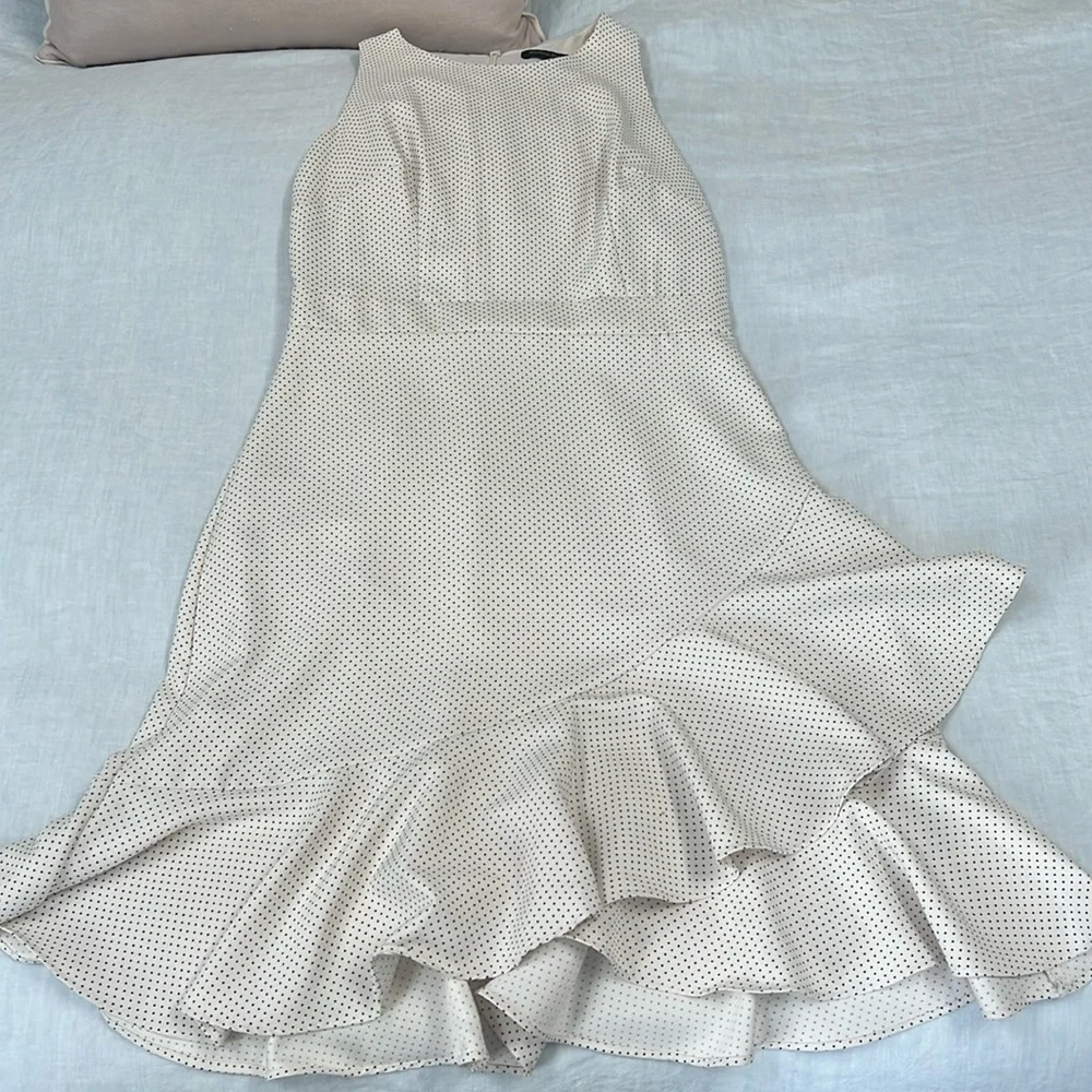 Banana Republic Factory Polka dot dress size 2 - Picture 3 of 6